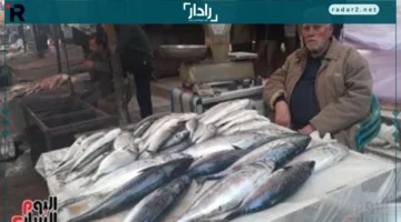 أسعار الأسماك في القليوبية اليوم: البلطي عند 70 جنيهًا